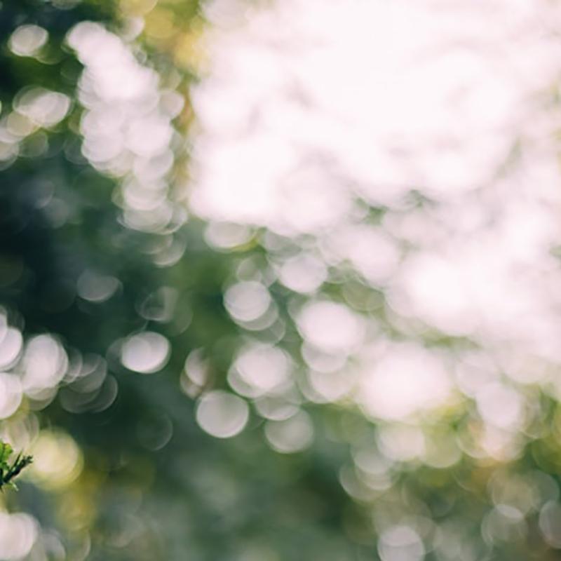 Bokeh Light Banner